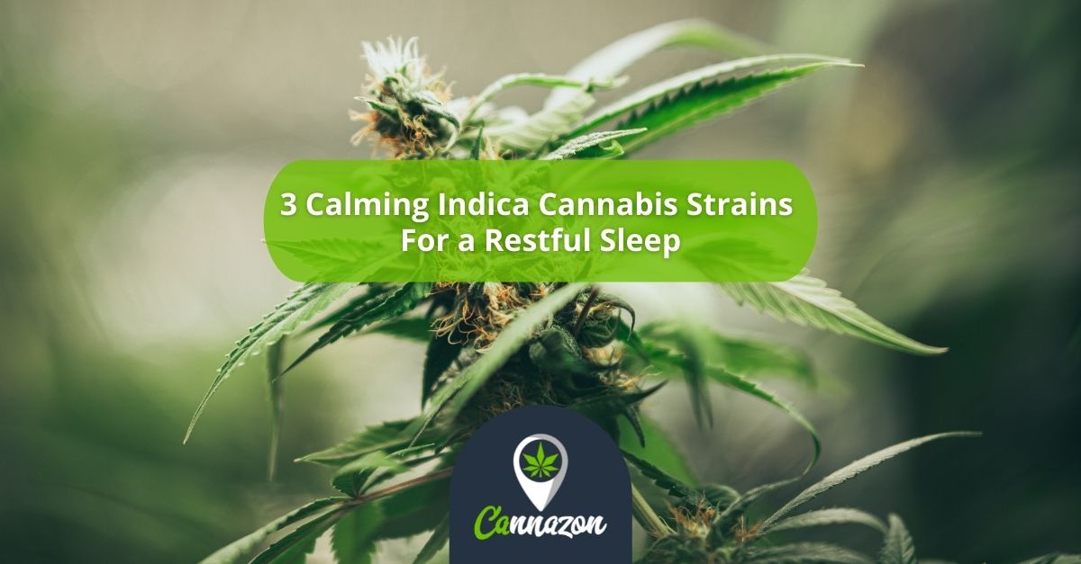 3 Calming Indica Cannabis Strains For a Restful Sleep
