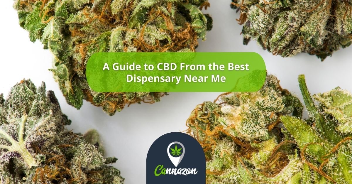 A Guide to CBD From the Best Dispensary Near Me