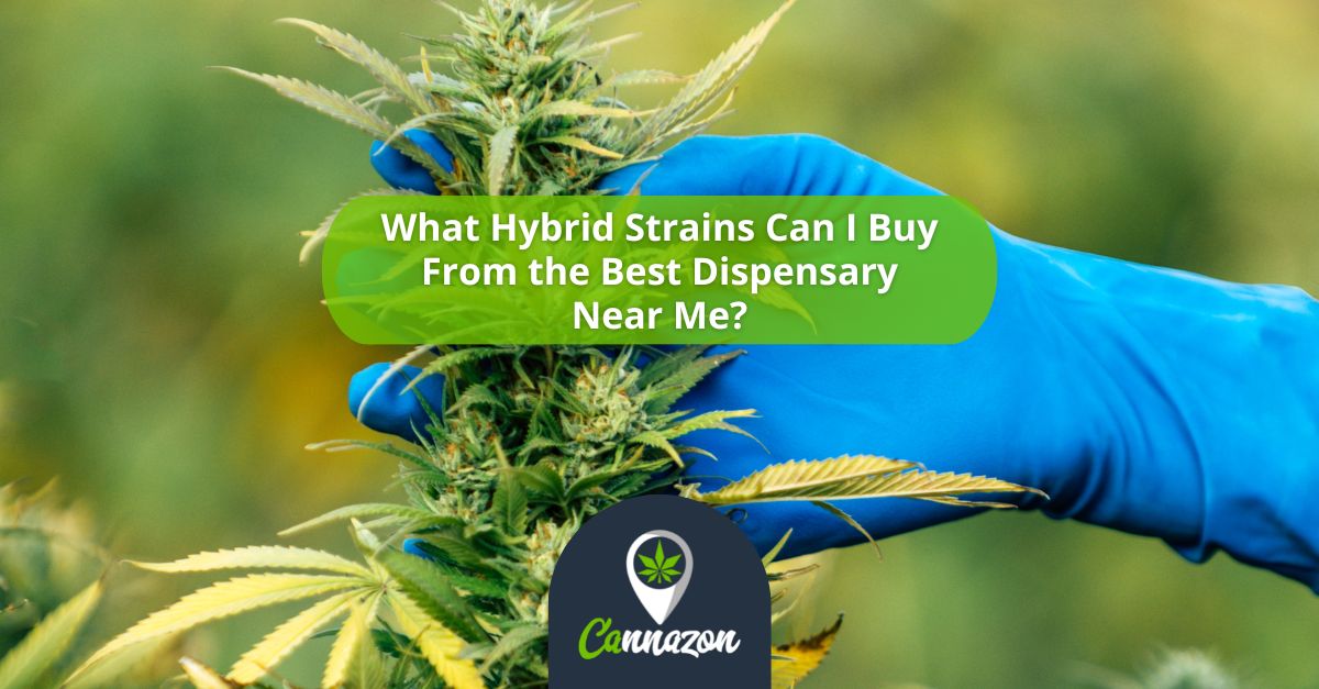 What Hybrid Strains Can I Buy From the Best Dispensary Near Me?